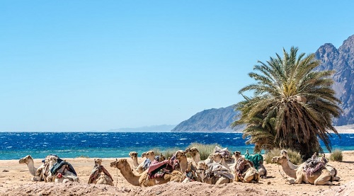 Dahab Day Tours